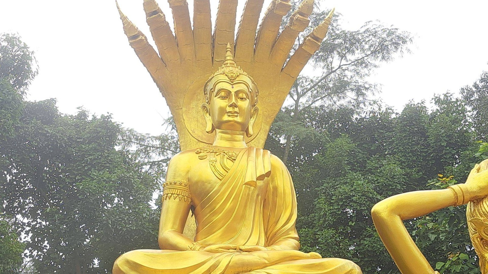 ภูทับเบิก - รีวิวที่ 2
