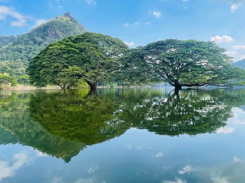 บริการแท็กซี่เชียงใหม่ 24 ชั่วโมง