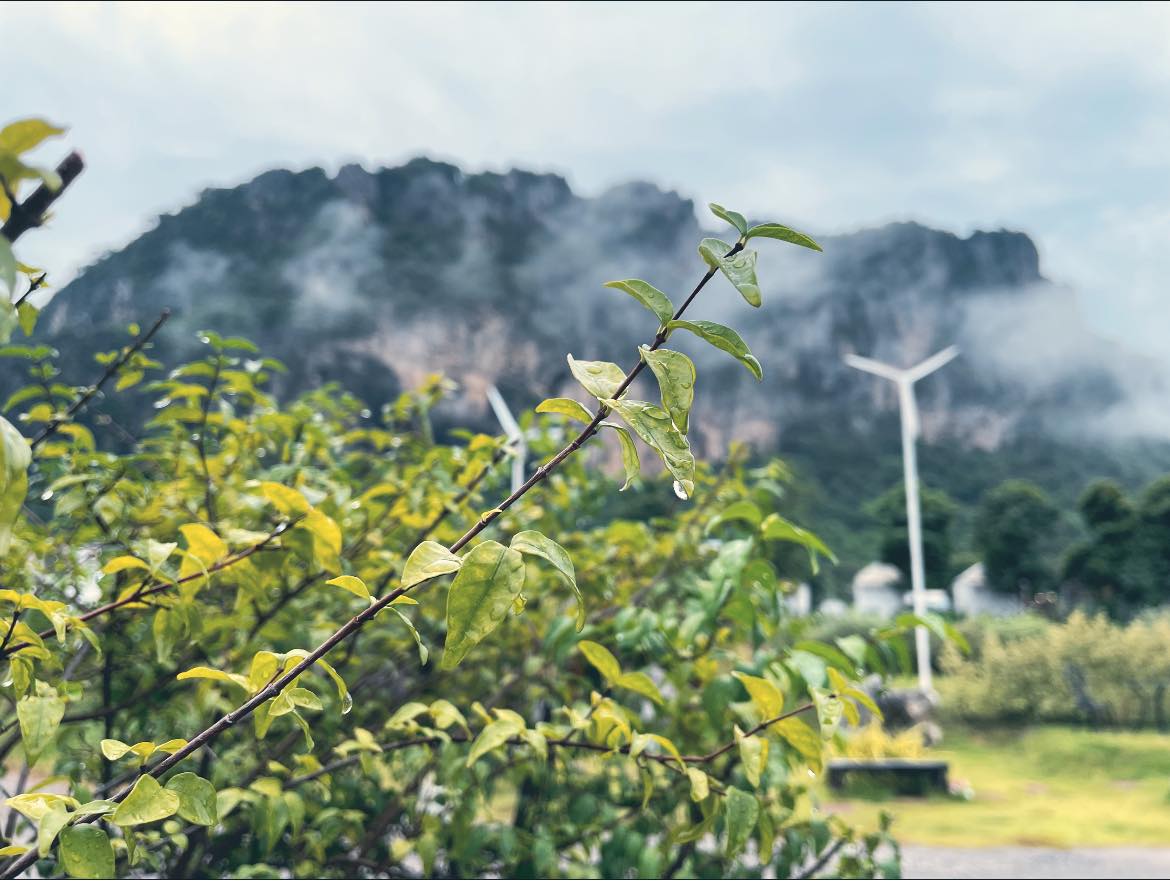 Hai-Na Garden House - รีวิวที่ 2