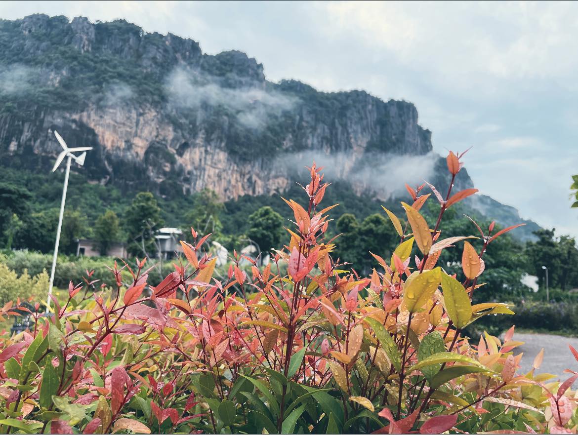 Hai-Na Garden House - รีวิวที่ 3